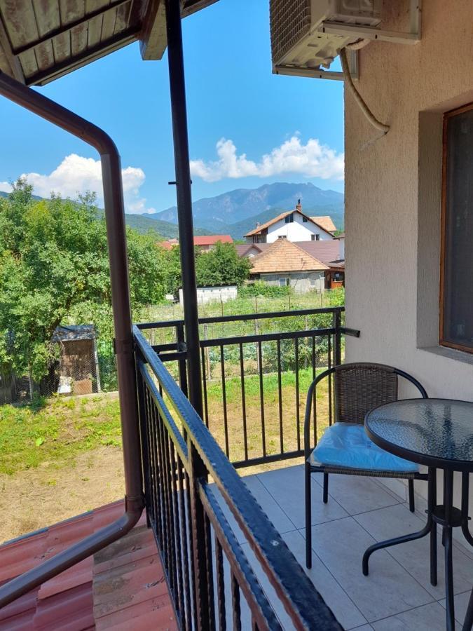 Casa Zoe Seaca Villa Călimăneşti Exteriör bild