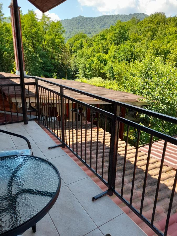Casa Zoe Seaca Villa Călimăneşti Exteriör bild